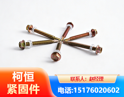 南充六角钻尾丝
