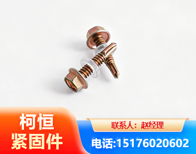 南充六角钻尾丝